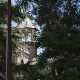 Spicca sul tetto la particolare la torre con guglia che svetta fra gli alberi